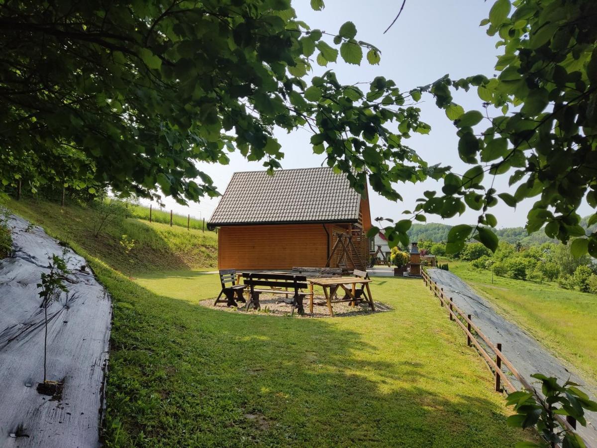 Chaty Na Cholewicy Domki Caloroczne Solina  Exteriör bild